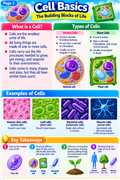 Cell Basics