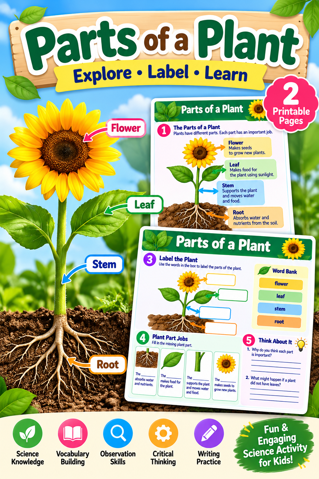 Parts of a Plant