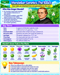 Mendelian Genetics